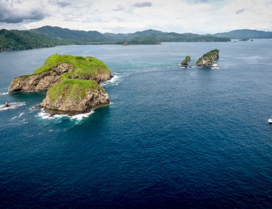 Isla Brumel Manta Ray Sailing Costa Rica