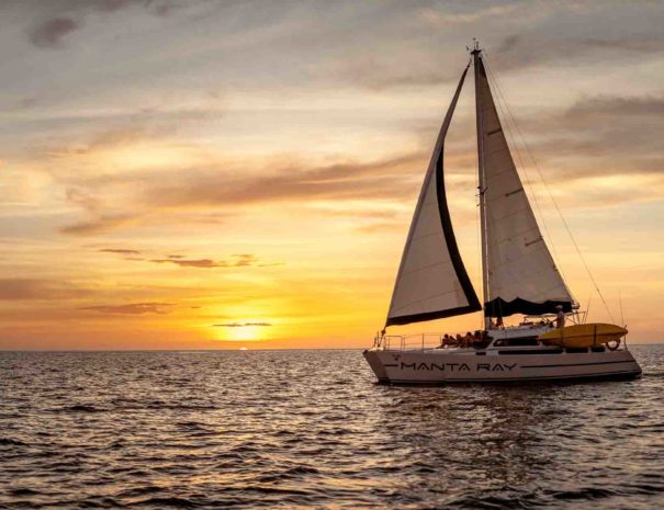 Manta Ray Sailing Costa Rica