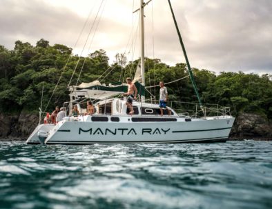 Manta Ray Sailing Flamingo Costa Rica